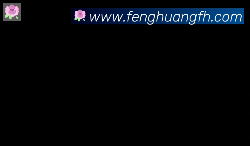 凤凰体育合作伙伴
